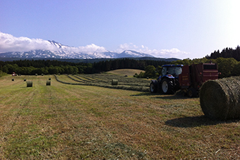 鳥海高原花立 牧場fest2015 3