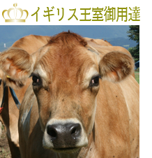 農事組合法人鳥海高原花立牧場ジャージー牛紹介