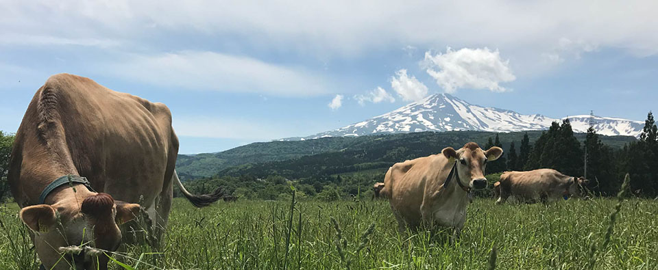 農事組合法人　鳥海高原　花立牧場　トップページ