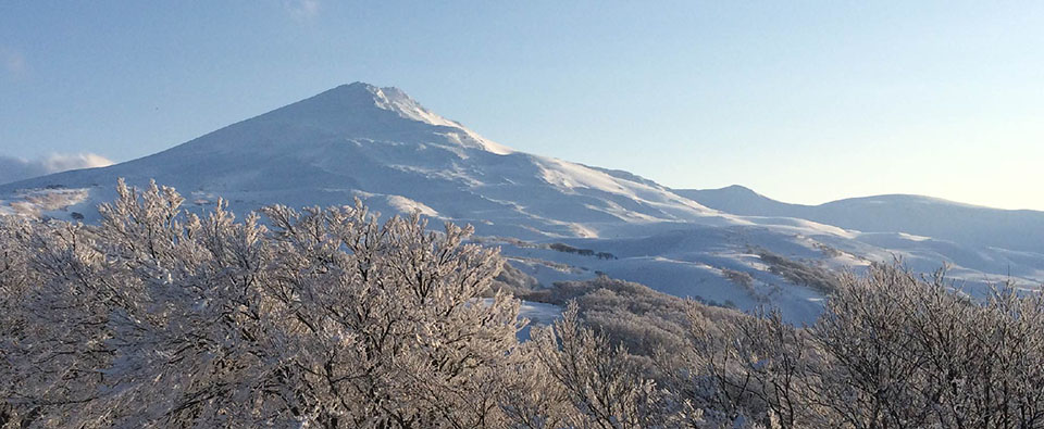 農事組合法人　鳥海高原　花立牧場　トップページ