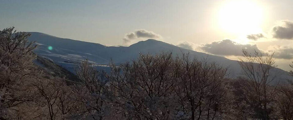 農事組合法人　鳥海高原　花立牧場　トップページ