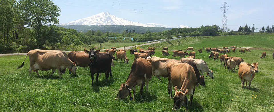 農事組合法人　鳥海高原　花立牧場　トップページ
