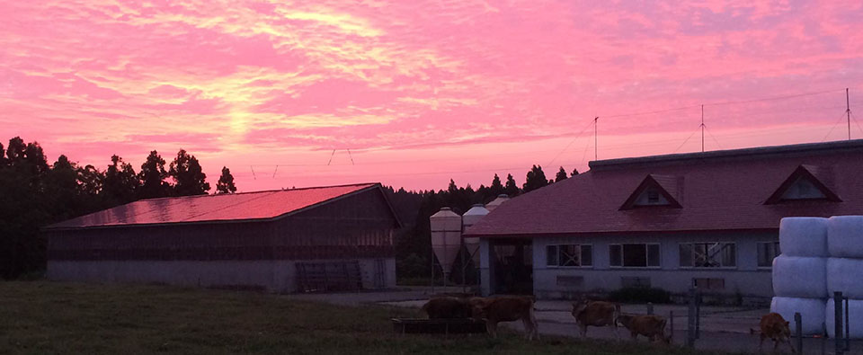 農事組合法人　鳥海高原　花立牧場　トップページ