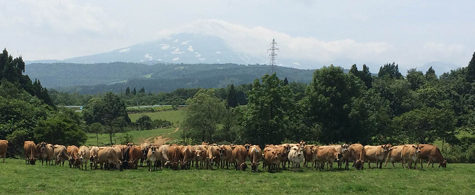 農事組合法人　鳥海高原　花立牧場　トップページ
