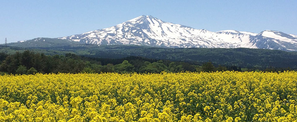 農事組合法人　鳥海高原　花立牧場　トップページ